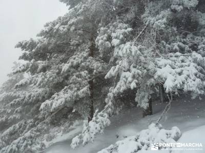 Valle de Iruelas - Pozo de nieve - Cerro de la Encinilla;rutas senderismo mallorca senderismo andalu